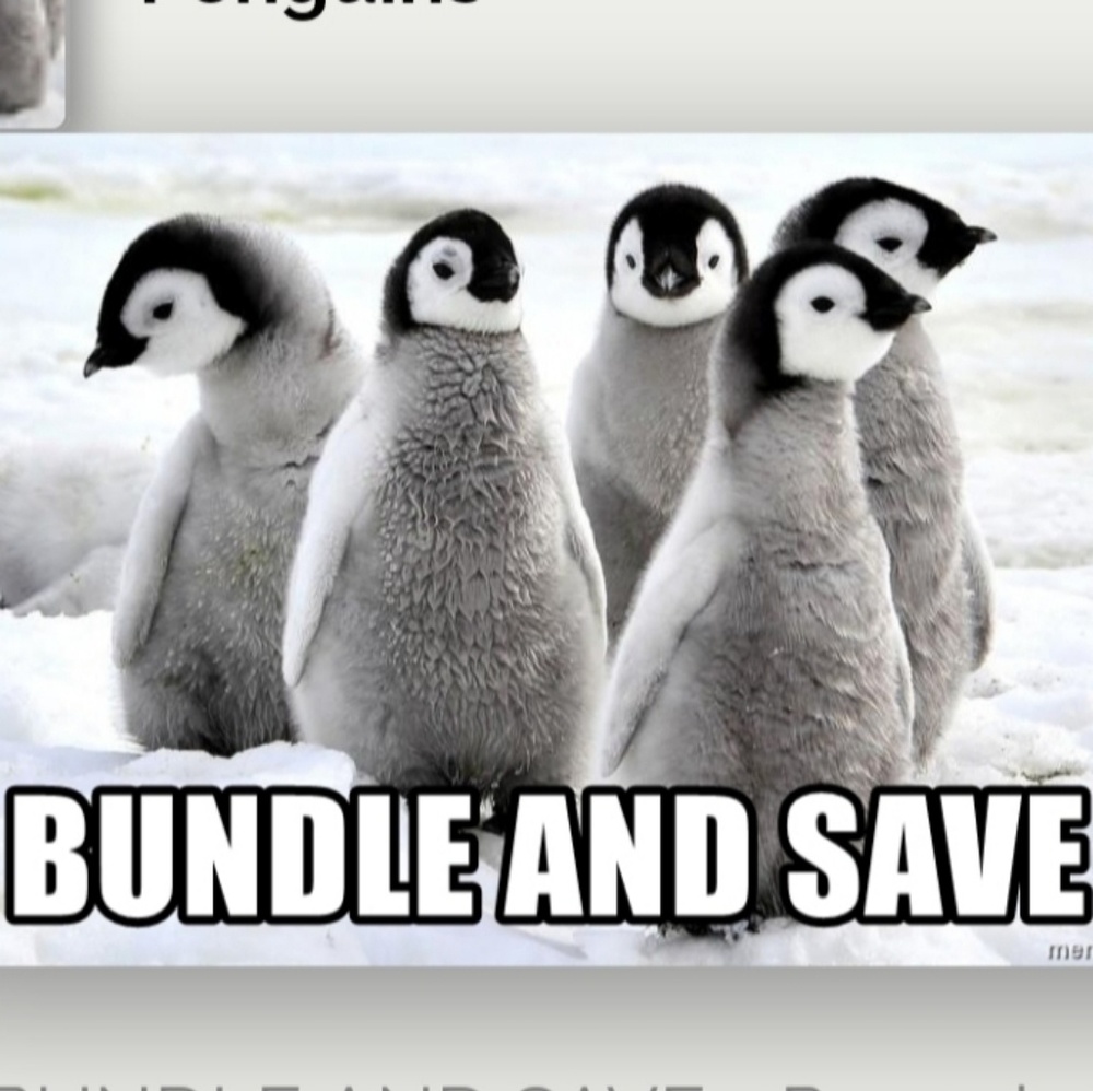 💐Bundle to save more money!